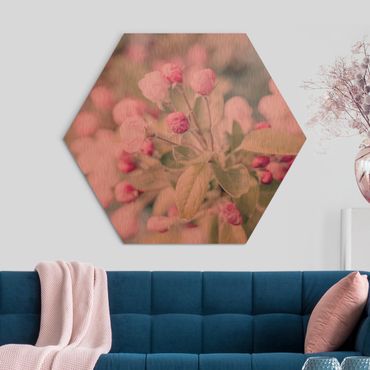 Obraz heksagonalny z Alu-Dibond - Kwiat jabłoni bokeh różowy