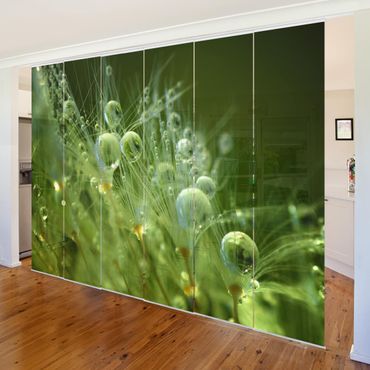 Zasłony panelowe zestaw - Zielone nasiona w deszczu