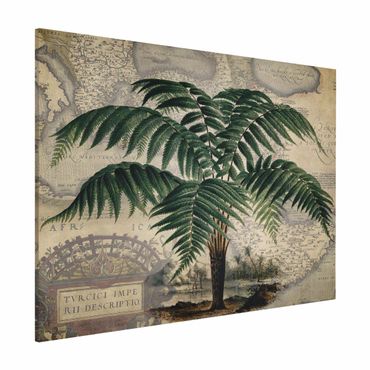 Tablica magnetyczna - Kolaż w stylu vintage - drzewo palmowe i mapa świata