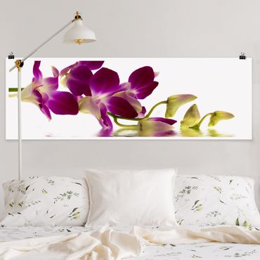 Plakat - Wody różowej orchidei