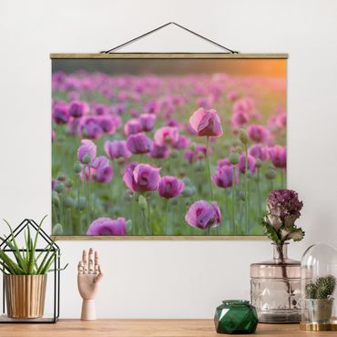 Plakat z wieszakiem - Fioletowa łąka z makiem opium wiosną