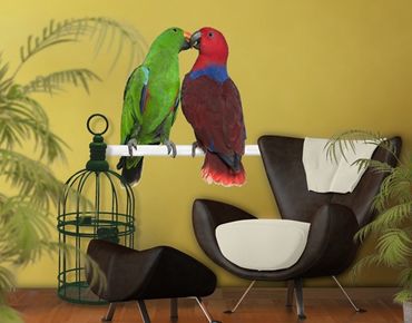 Naklejka na ścianę - Nr 645 Zakochane papugi