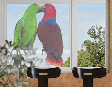 Naklejka na okno - Zakochane papugi