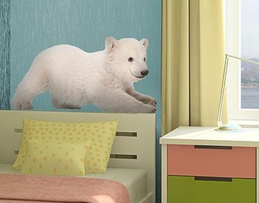 Naklejka na ścianę - Nr 643 Niedźwiedź polarny
