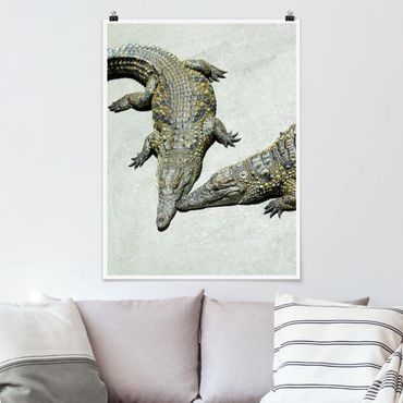 Plakat - Romans krokodyla