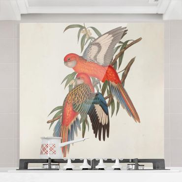 Panel szklany do kuchni - Papugi tropikalne I