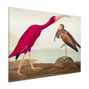 Tablica magnetyczna - Tablica edukacyjna w stylu vintage Czerwony Ibis