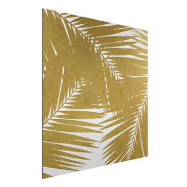 Obraz Alu-Dibond - Widok przez złote liście palmy