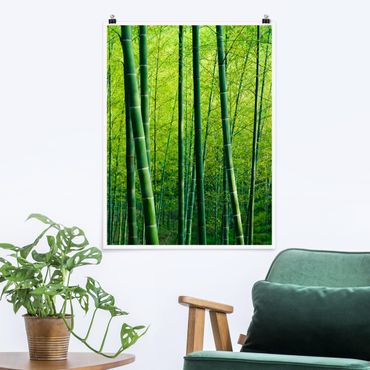 Plakat - Las bambusowy
