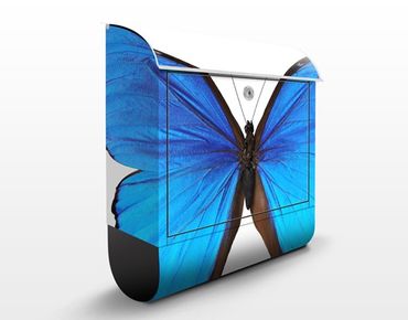 Skrzynka na listy - Motyl morfiny niebieskiej