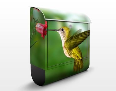 Skrzynka na listy - Koliber i kwiat