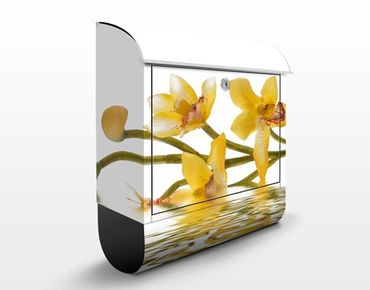 Skrzynka na listy - Saffron Orchid Waters