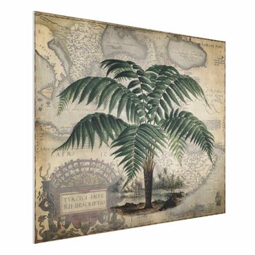 Obraz Forex - Kolaż w stylu vintage - drzewo palmowe i mapa świata