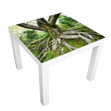 Okleina meblowa IKEA - Lack stolik kawowy - Stare drzewo