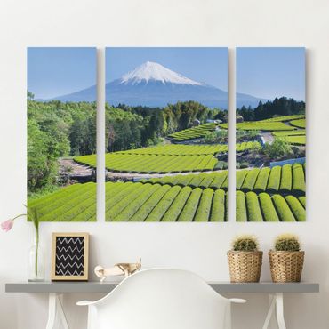 Obraz na płótnie 3-częściowy - Pola herbaciane przed Fuji