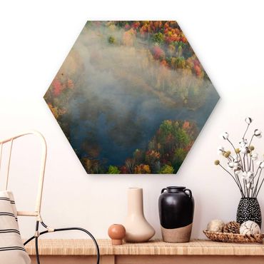 Obraz heksagonalny z drewna - Zdjęcie lotnicze - Symfonia jesienna