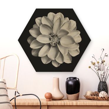 Obraz heksagonalny z drewna - Dahlia czarno-biały