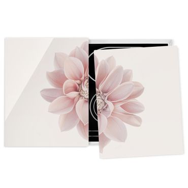 Szklana płyta ochronna na kuchenkę - Kwiat dalii Pastelowy biały róż