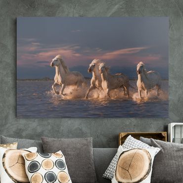 Obraz na płótnie - Dzikie konie w Camargue