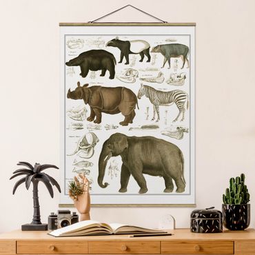 Plakat z wieszakiem - Tablica edukacyjna w stylu vintage Słonie, zebry i nosorożce