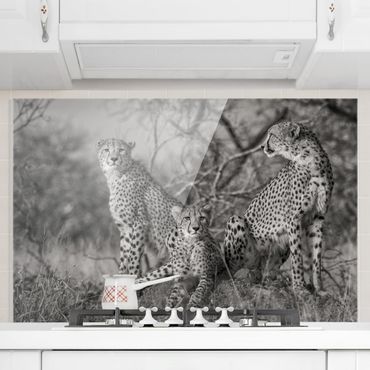Panel szklany do kuchni - Trzy gepardy