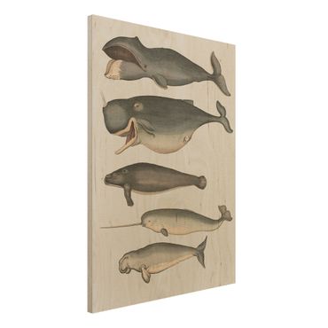 Obraz z drewna - Pięć wieloryby w stylu vintage