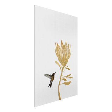 Obraz Alu-Dibond - Koliber i tropikalny złoty kwiat