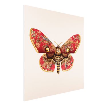 Obraz Forex - Vintage Moth