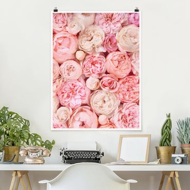 Plakat - Rosy Rosé Coral Shabby