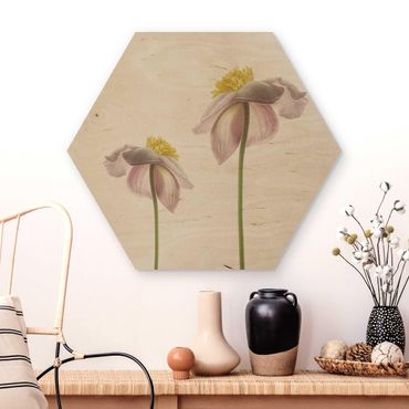 Obraz heksagonalny z drewna - Kwiaty zawilca różowego