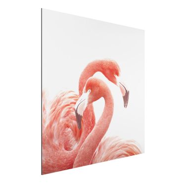 Obraz Alu-Dibond - Dwa flamingi