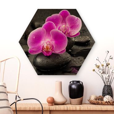 Obraz heksagonalny z drewna - Kwiaty różowej orchidei na kamieniach z kroplami