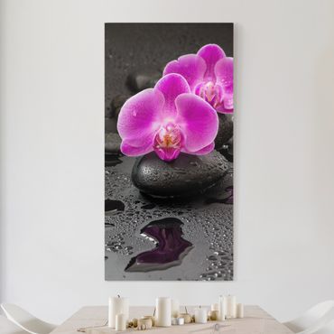 Obraz na płótnie - Kwiaty różowej orchidei na kamieniach z kroplami