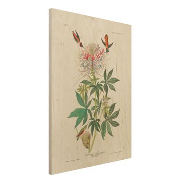 Obraz z drewna - Tablica edukacyjna w stylu vintage Kolibry Allena