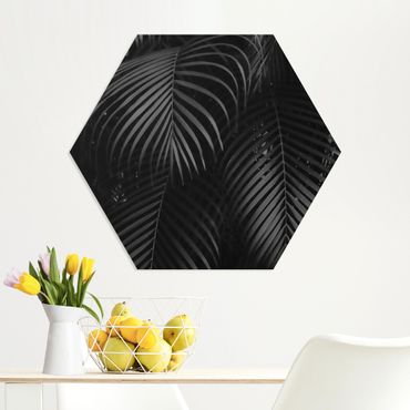 Obraz heksagonalny z Forex - Czarne liście palmy