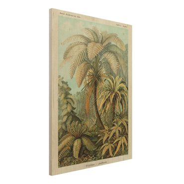 Obraz z drewna - Botanika Vintage Ilustracja paproci liściastych
