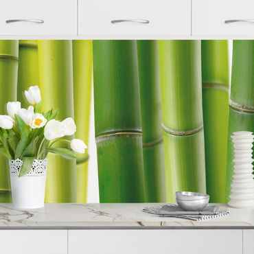 Panel ścienny do kuchni - Rośliny bambusowe II