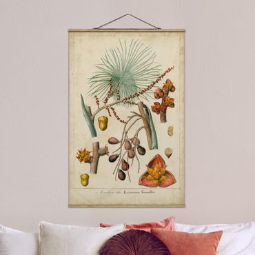 Plakat z wieszakiem - Tablica edukacyjna w stylu vintage Palmy egzotyczne III