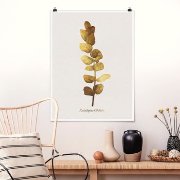 Plakat - Złoto - Eukaliptus