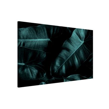 Tablica magnetyczna - Liście dżungli ciemnozielone