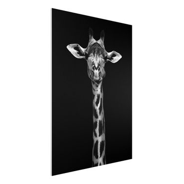 Obraz Forex - Portret ciemnej żyrafy