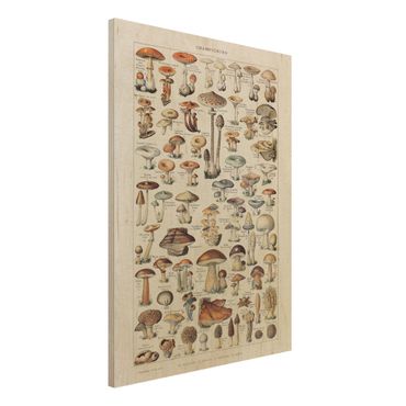 Obraz z drewna - Tablica edukacyjna w stylu vintage Grzyby