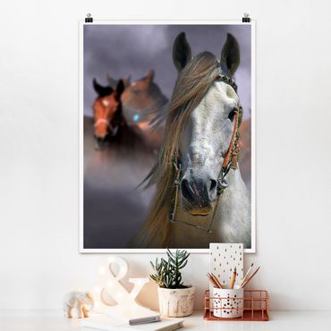 Plakat - Konie w kurzu