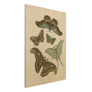Obraz z drewna - Ilustracja w stylu vintage Motyle egzotyczne II