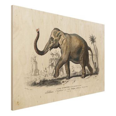 Obraz z drewna - Tablica edukacyjna w stylu vintage Słoń