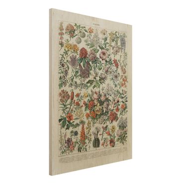 Obraz z drewna - Tablica edukacyjna w stylu vintage Kwiaty II