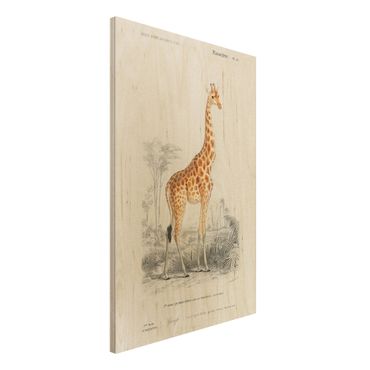 Obraz z drewna - Tablica edukacyjna w stylu vintage Tablica dydaktyczna w stylu vintage Żyrafa