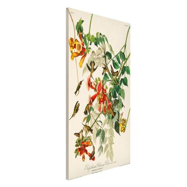 Tablica magnetyczna - Tablica edukacyjna w stylu vintage Koliber rubinowy