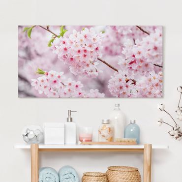 Obraz na płótnie - Japońskie kwiaty wiśni