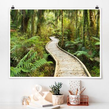 Plakat - Ścieżka w dżungli